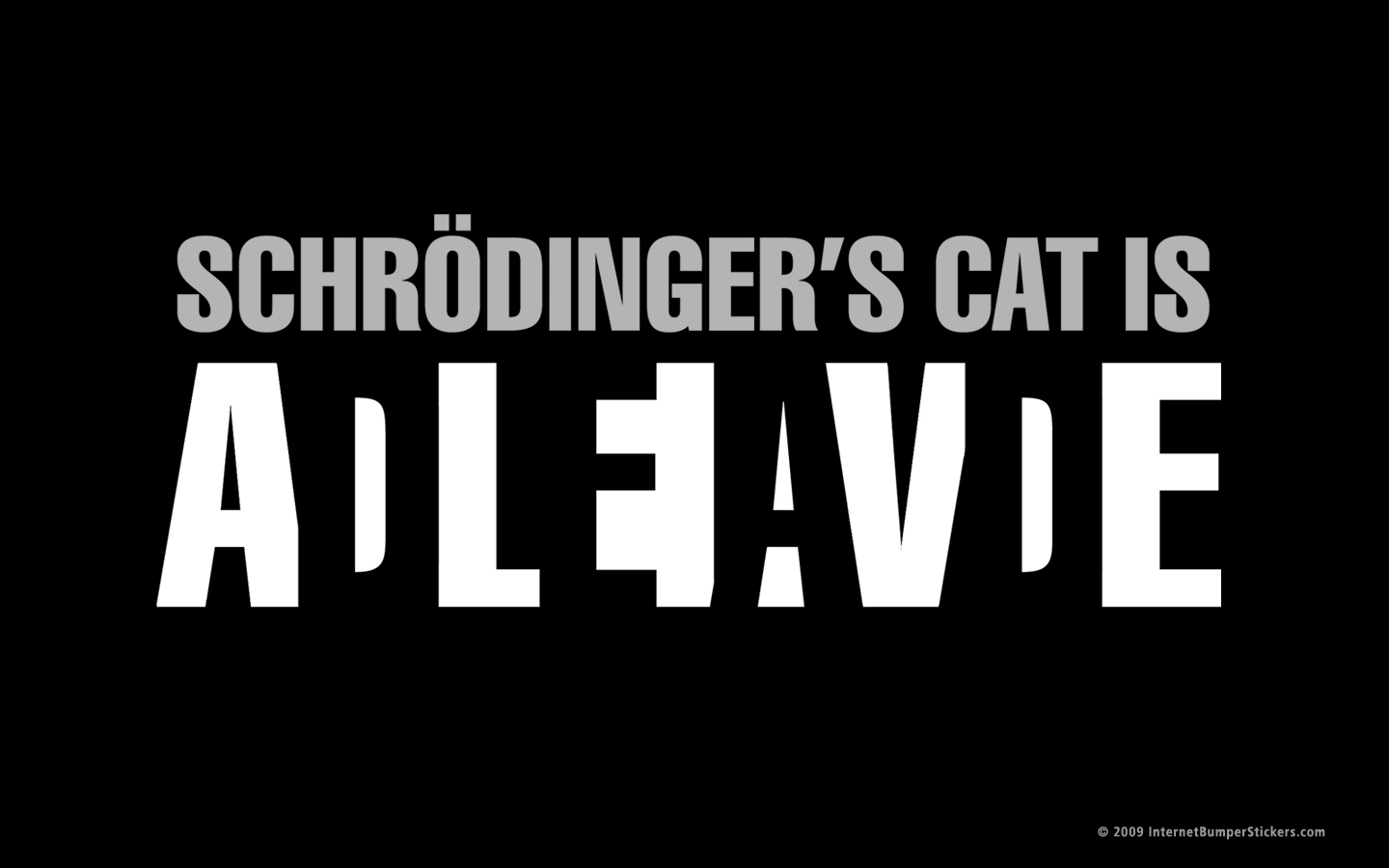 [Image: schrodingers-cat.jpg]