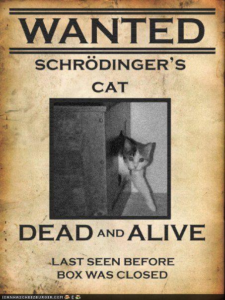Funny Pictures – Schrodinger's Cat « Why Evolution Is True